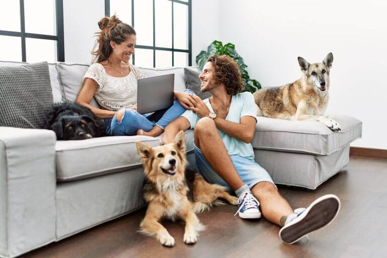 IFF_Pet-Health_Additional-Insights_Pet-Parent-Spending_Image