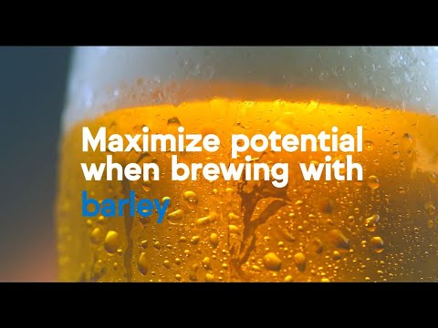 IFF Brewing: Maximize Potential When Brewing with Barley