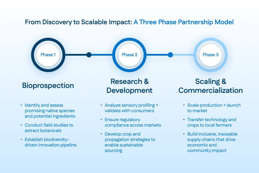 From Discovery to Scalable Impact: A Three Phase Partnership Model