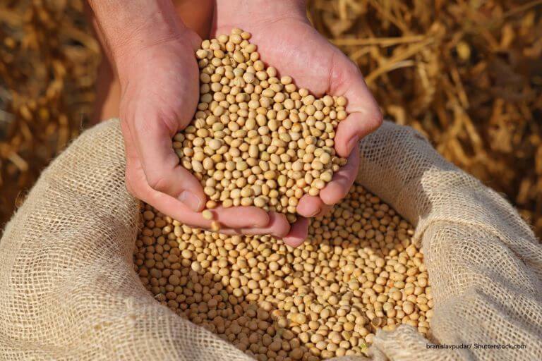 IFF secures first heart health claim for soy protein in Australia and New Zealand