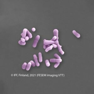 IFF_HS_Our-Products_HOWARU_Signature-Strains_Strains_HN019