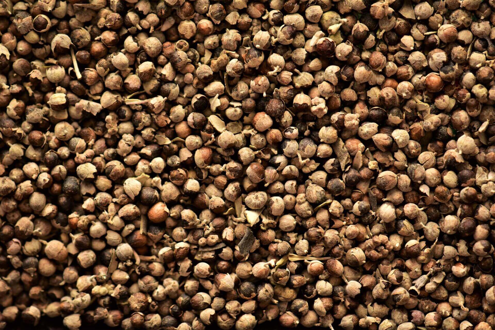 IFF_HS_Our-Products_Ingredients_Chasteberry-Vitex_1