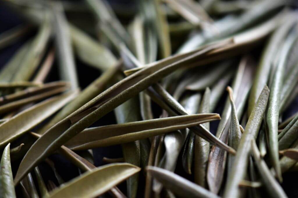 IFF_HS_Our-Products_Ingredients_Olive-Leaf_5