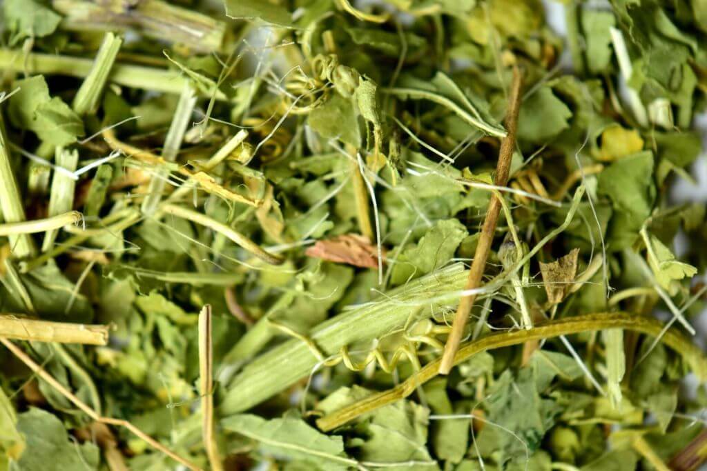 IFF_HS_Our-Products_Ingredients_Passion-Flower_1