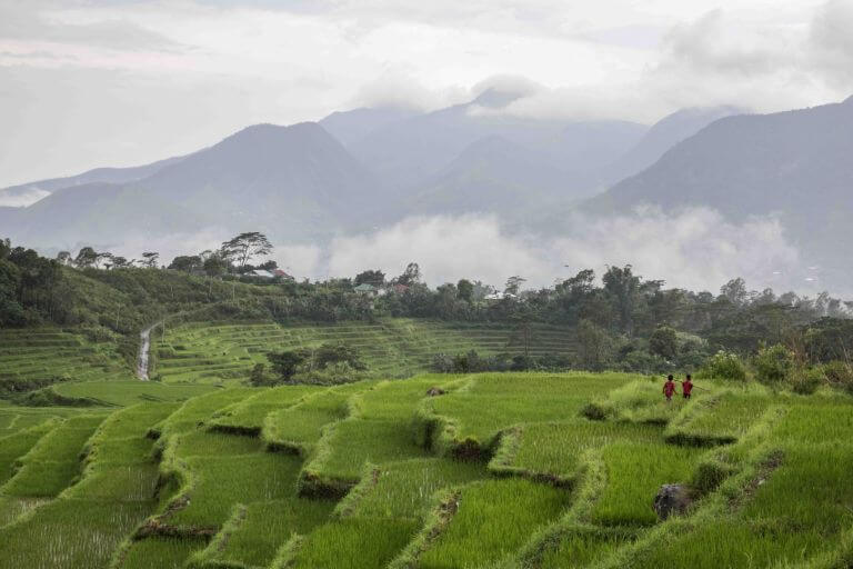 Life-Cycle Assessment (LCA): Calculating the Path to GHG Reductions in IFF Products & Supply Chain