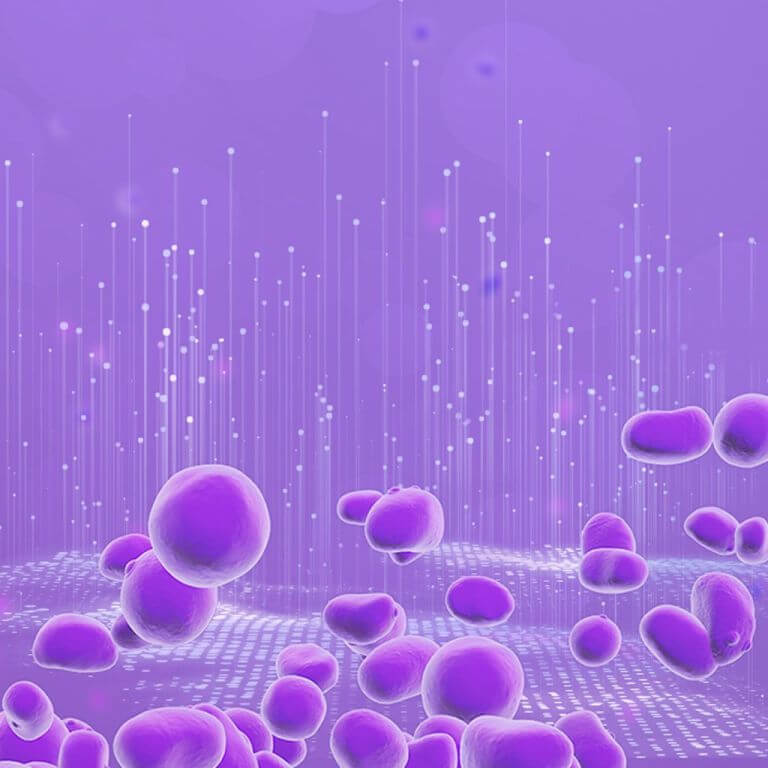 Advanced Yeast and Enzyme Solutions for Ethanol Production