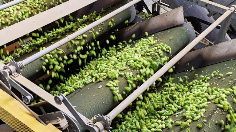 Upcycling Food Waste: Giving Food a New Life