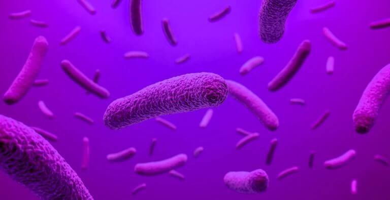 How Microbial Strain Diversity Drives Probiotic Innovation