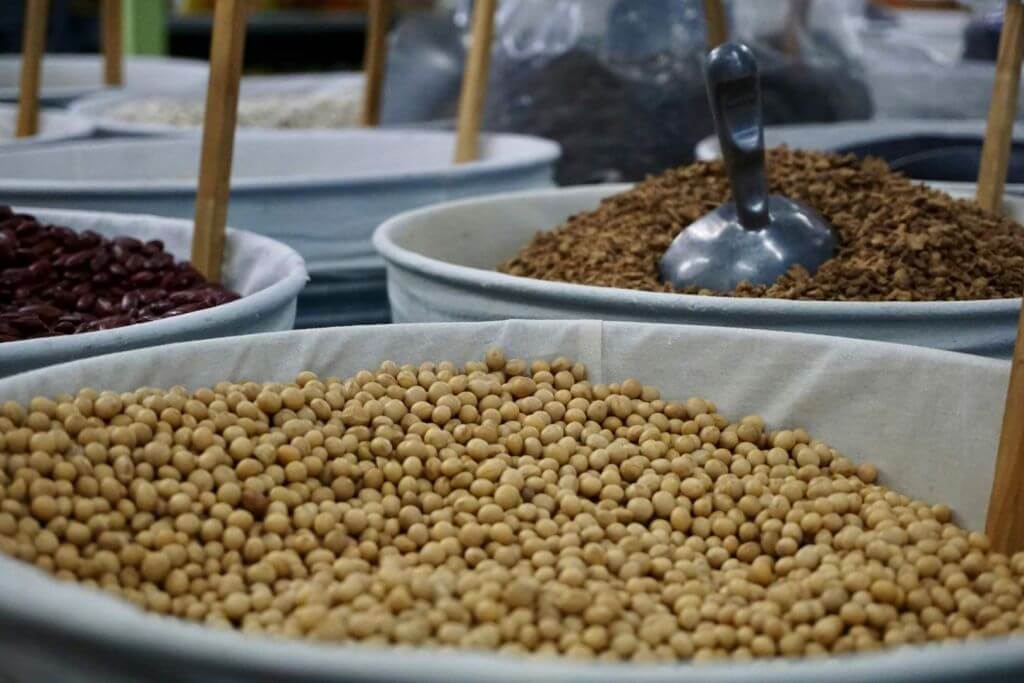 soy protein and fiber