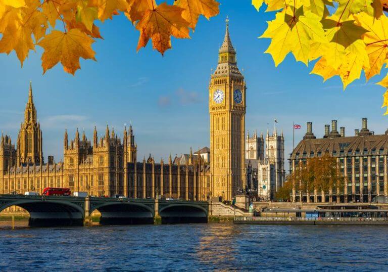Taura UK Office