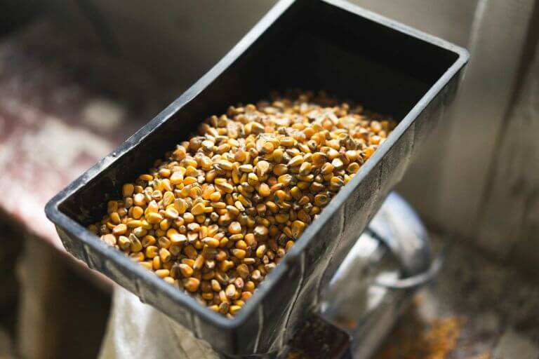 Unlocking the Power of Corn Kernel Fiber – Why Every Molecule Matters