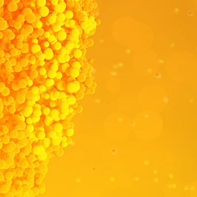 csm_Banner_Saccharification_Fermentation_2cd6a7de8d_808702b49598065e4471280866018239