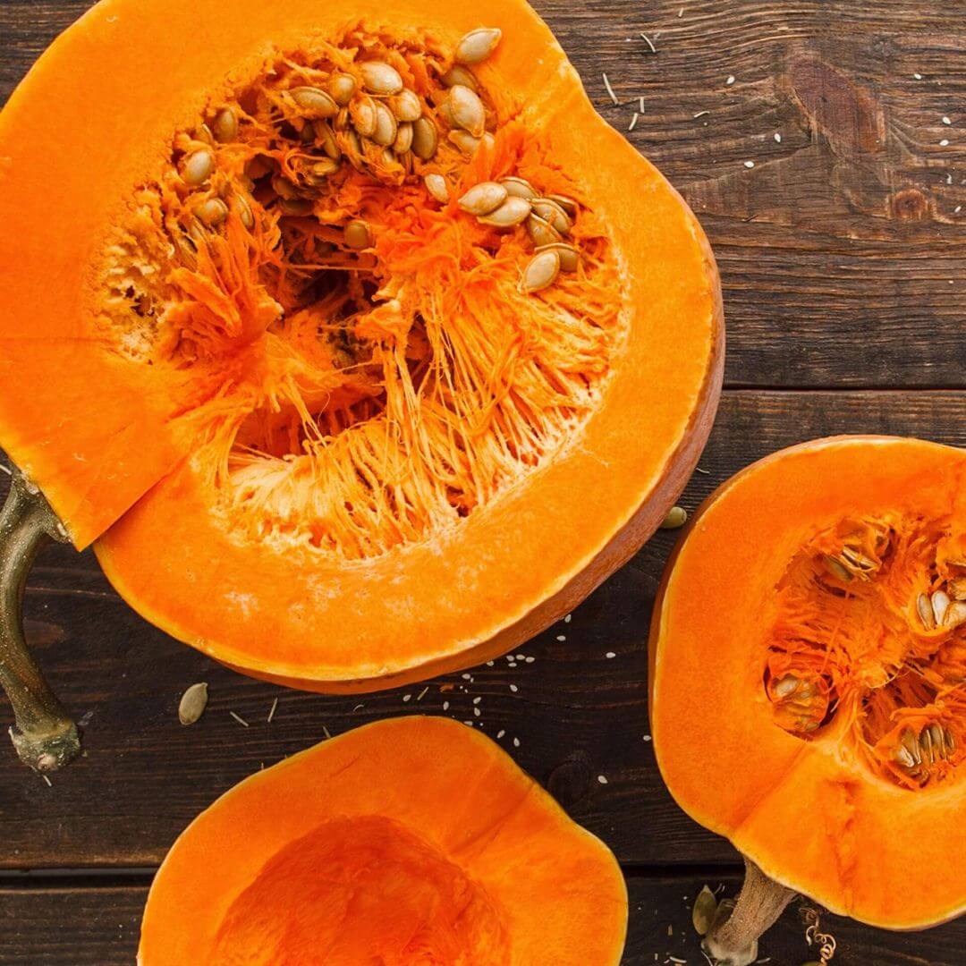 iff_health-sciences_pumpkin-seed