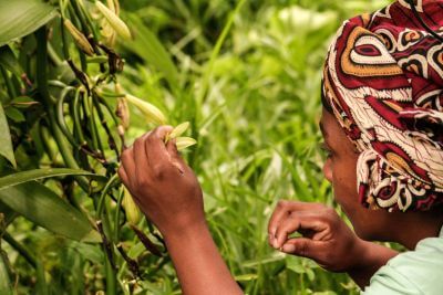 Responsible Vanilla Sourcing: Building Resilient Supply Chains