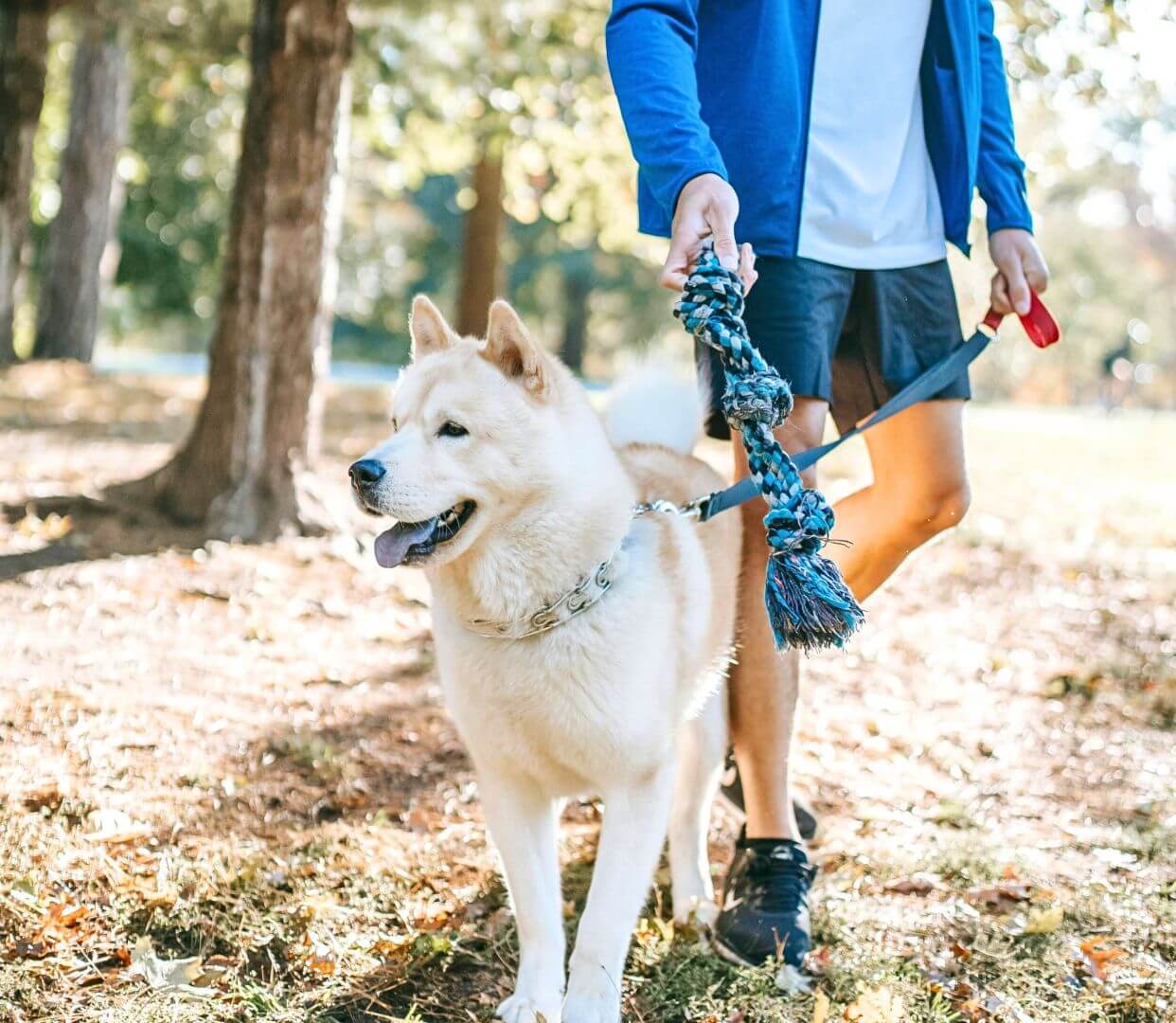 pet 2