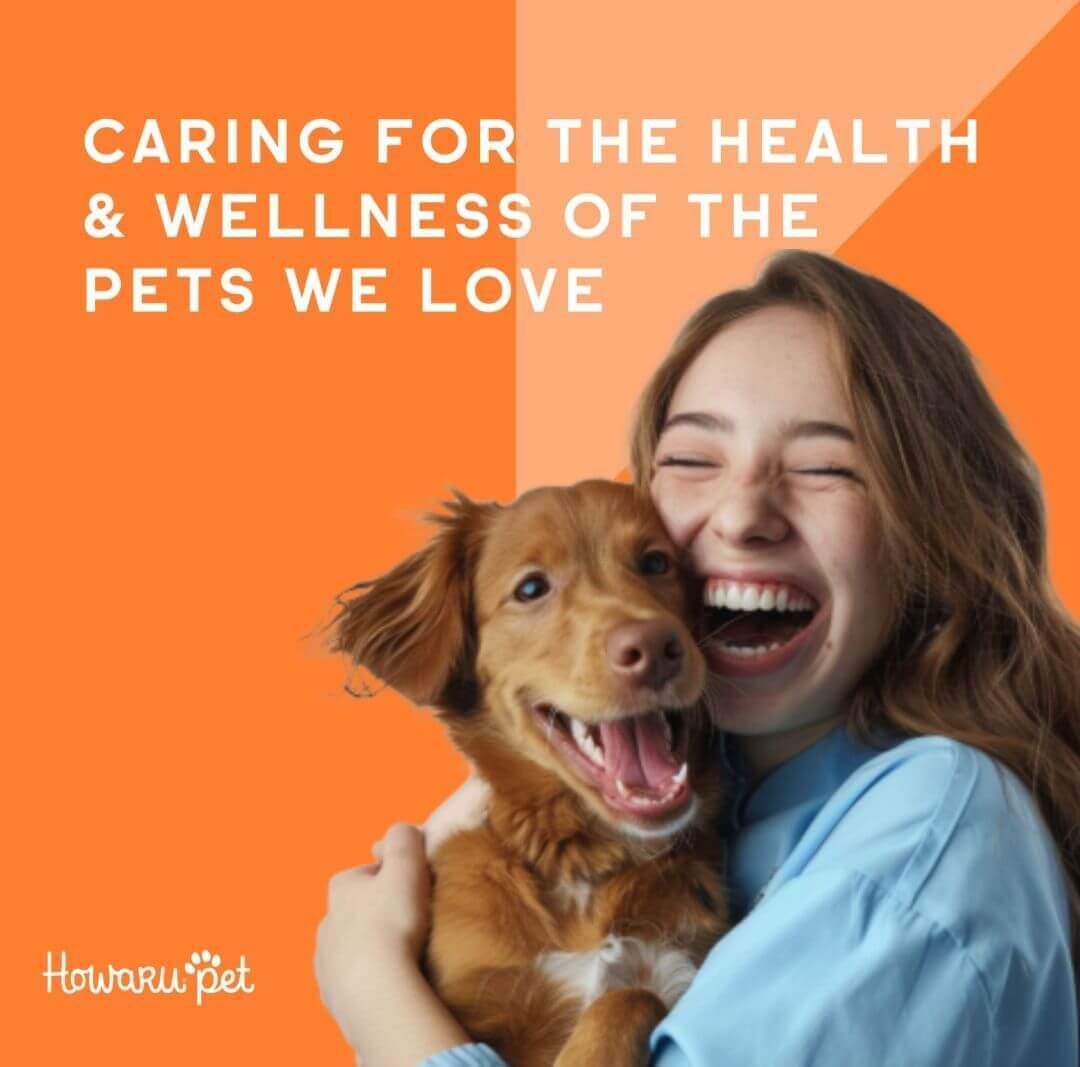 pet info
