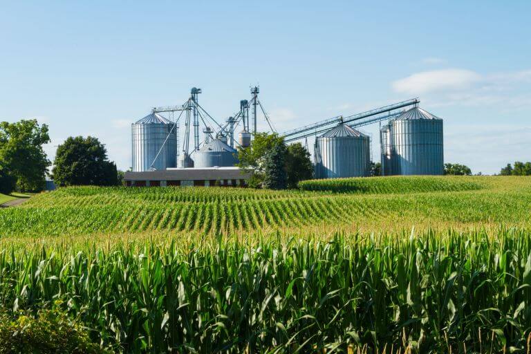 Fermentation in fuel ethanol production: troubleshooting 101
