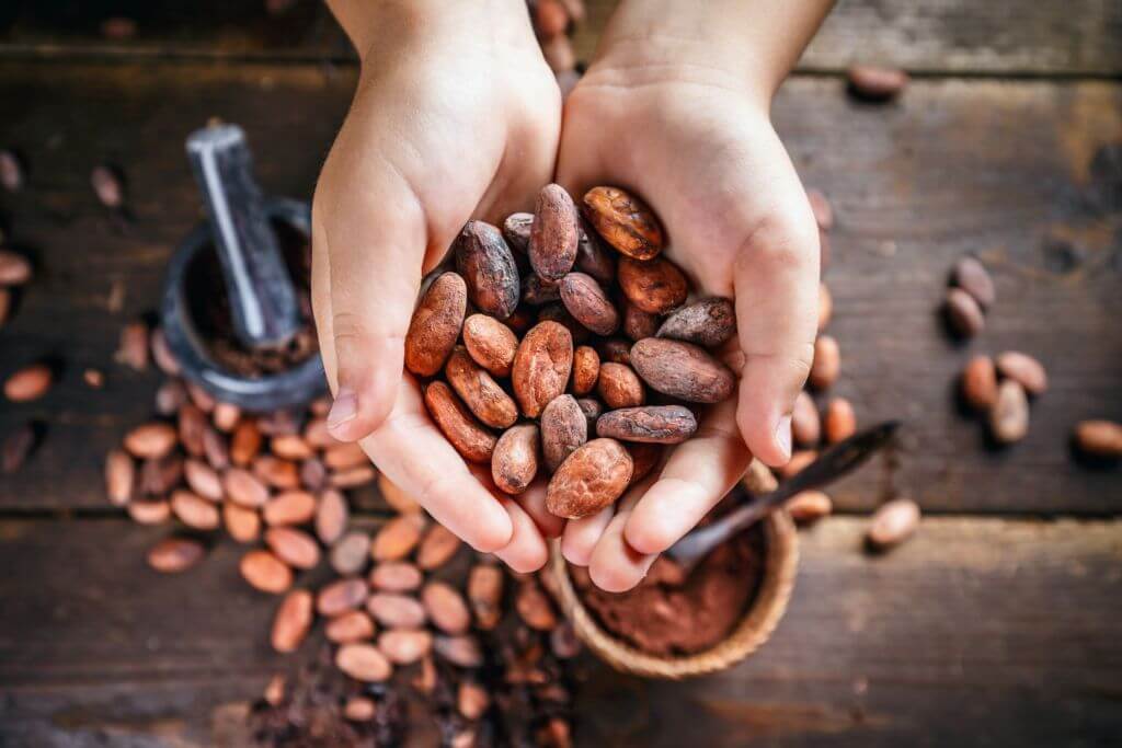 Hands folded open, holding cocoa beans and hands above a table with more cocoa beans and powder