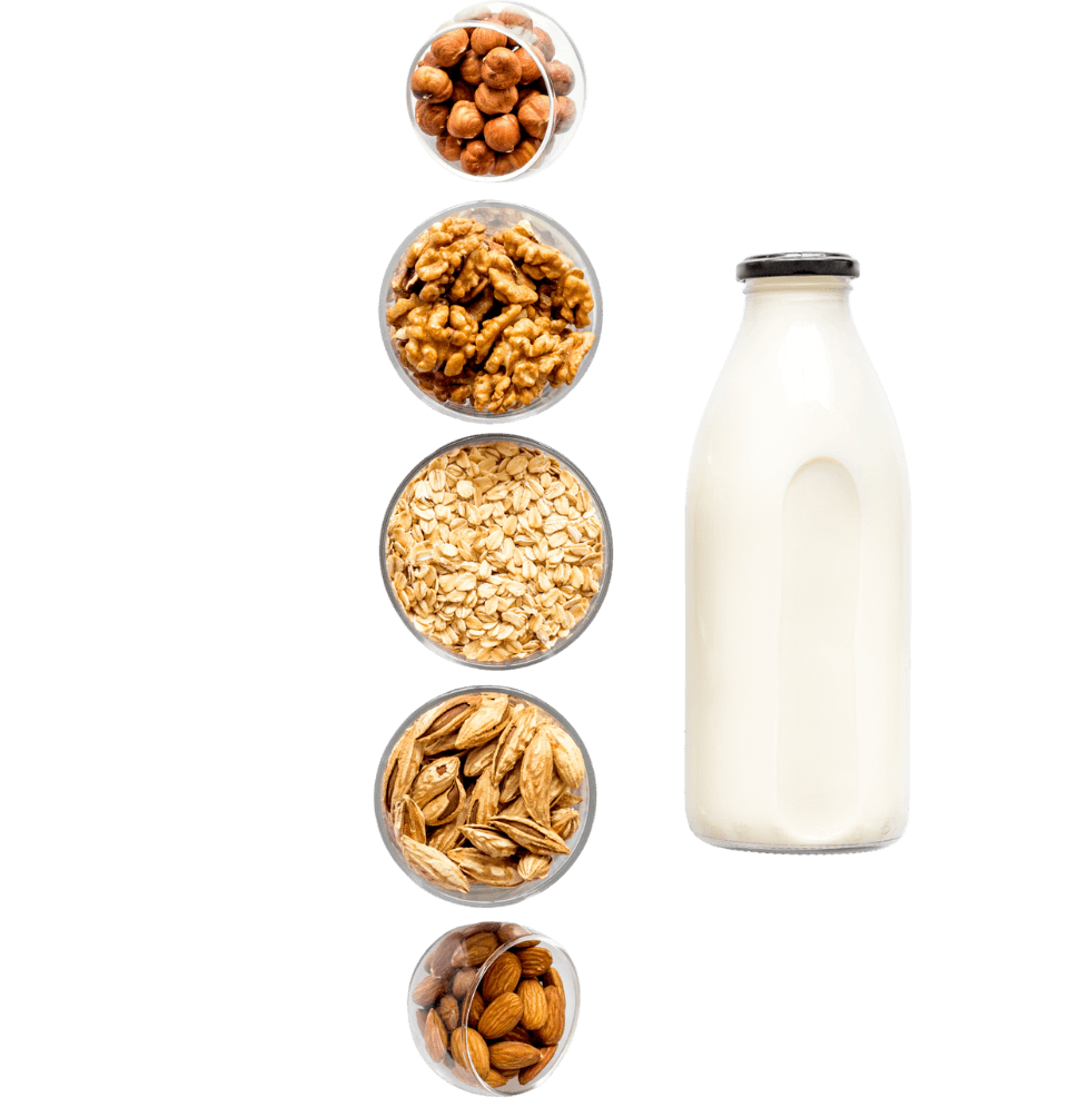 A bottle of plant-based milk surrounded by bowls of hazelnuts, walnuts, oats, barley, and almonds — ingredients used in sustainable, chemical-free food innovation.