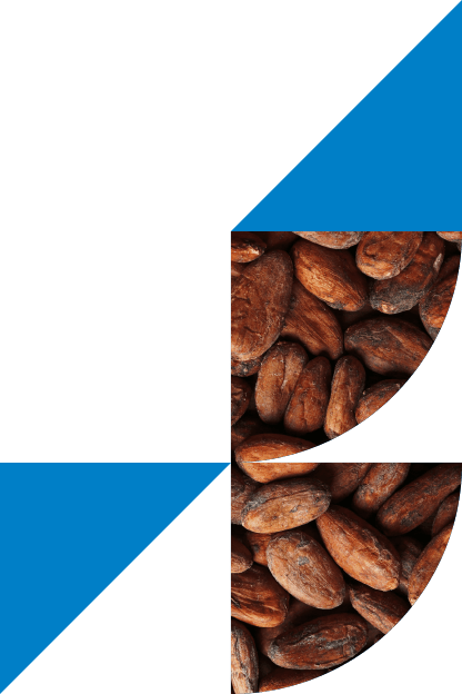 Graphical element with blue triangles and some shapes showing cocoa beans