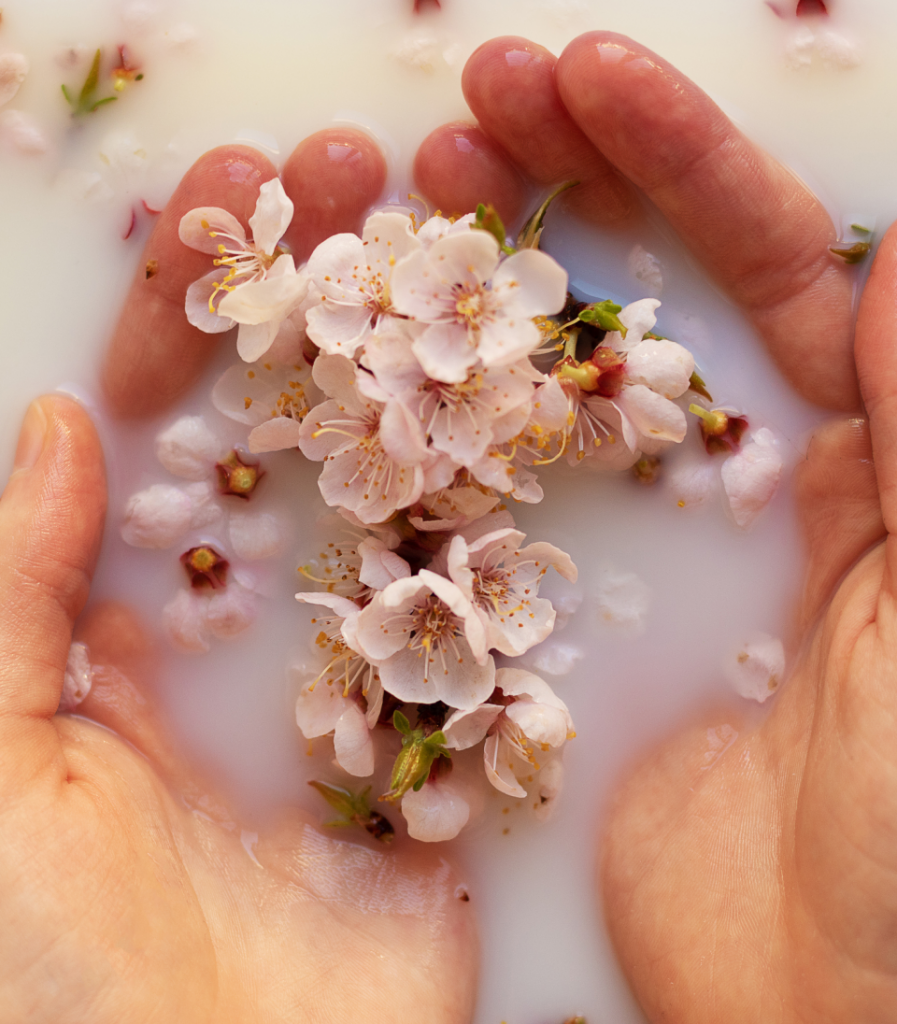Elevate Cleansing Experience