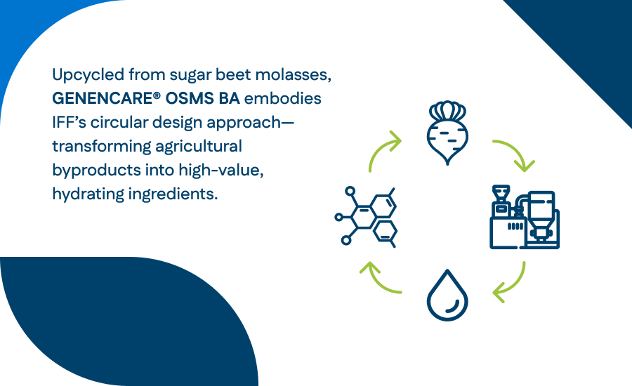 Circular infographic showing IFF’s upcycling of sugar beet molasses into GENENCARE® hydrating ingredients, demonstrating sustainable production of betaine used in cocamidopropyl betaine formulations.