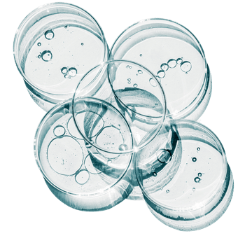 Petri Dish