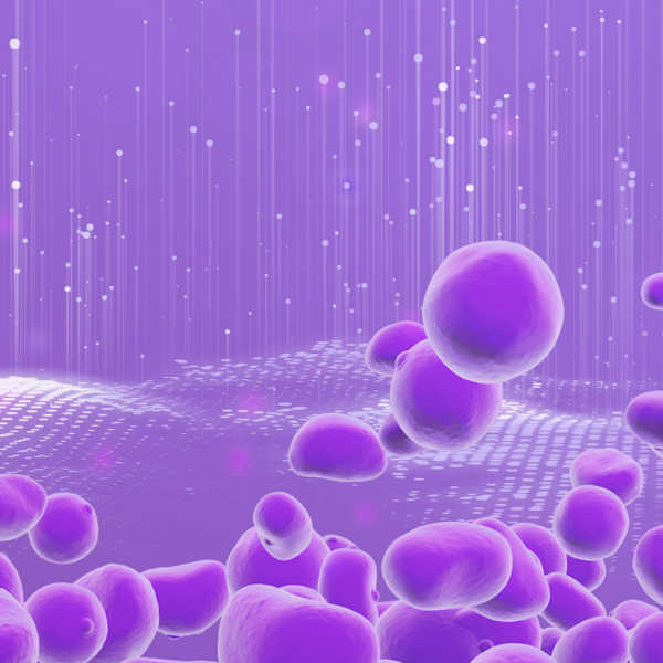 csm_SINERXIA_Platform_