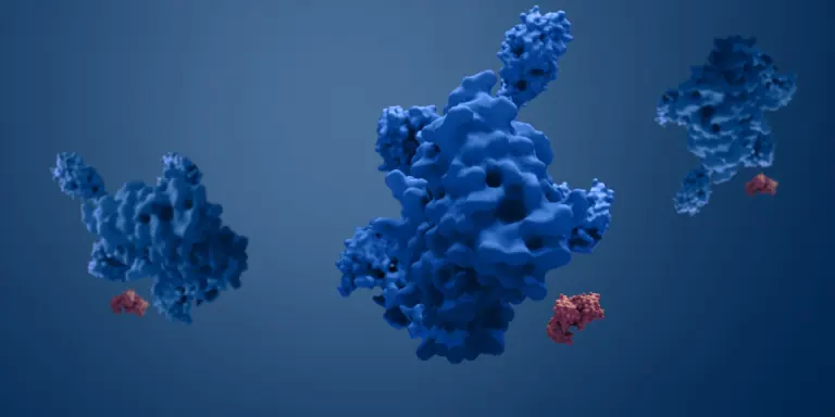 Oursciencetile
