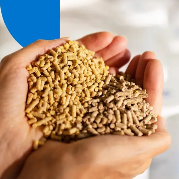 animal nutrition