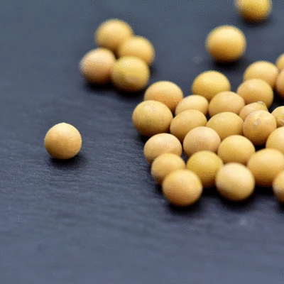 csm_Ingredients_SoyLife_Advantages_78c2b42c9f_fbfaee3bf85b53d8c3efdab04659665c.jpg
